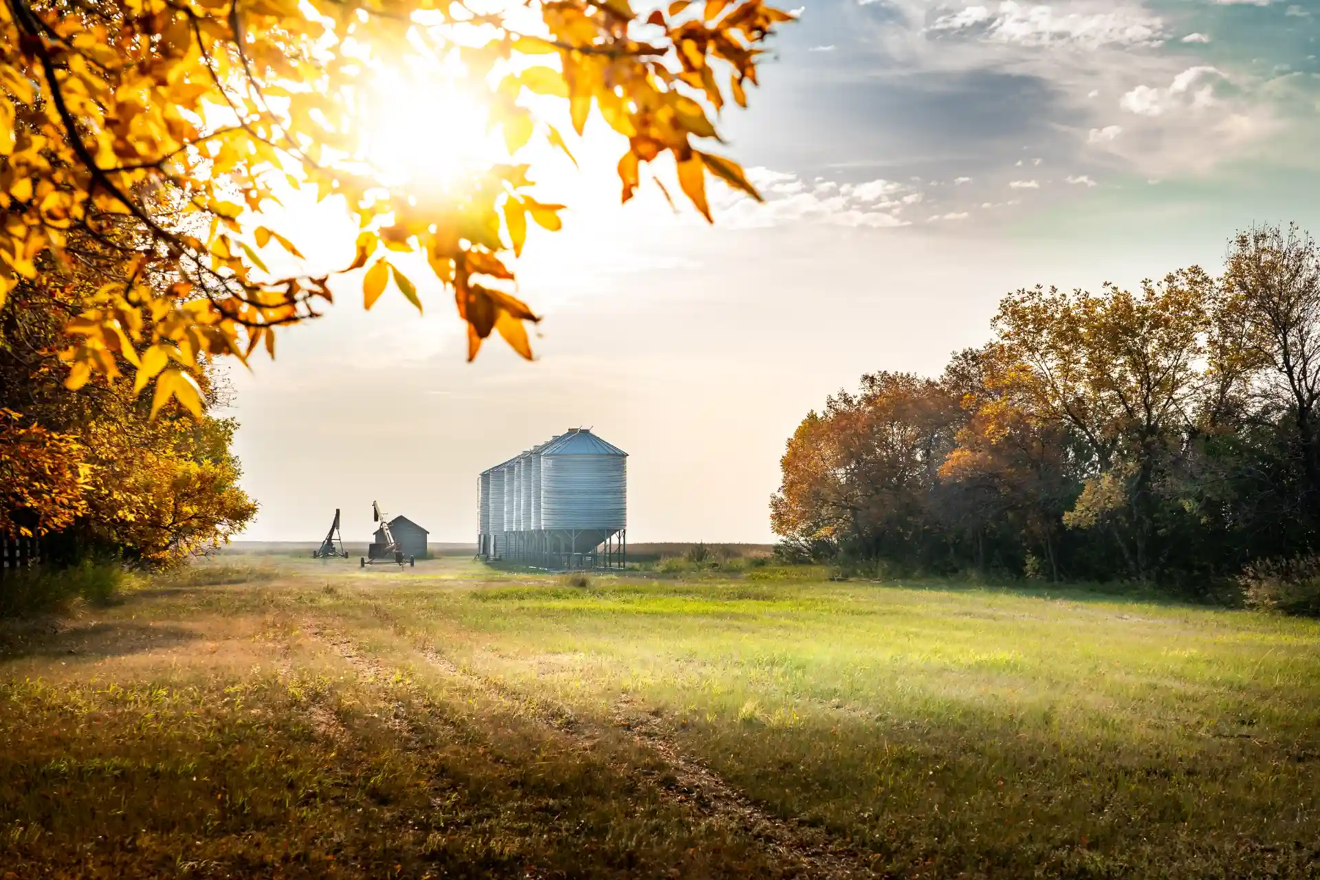 Embrace the beauty of wide-open spaces. - Open Views of the Prairies