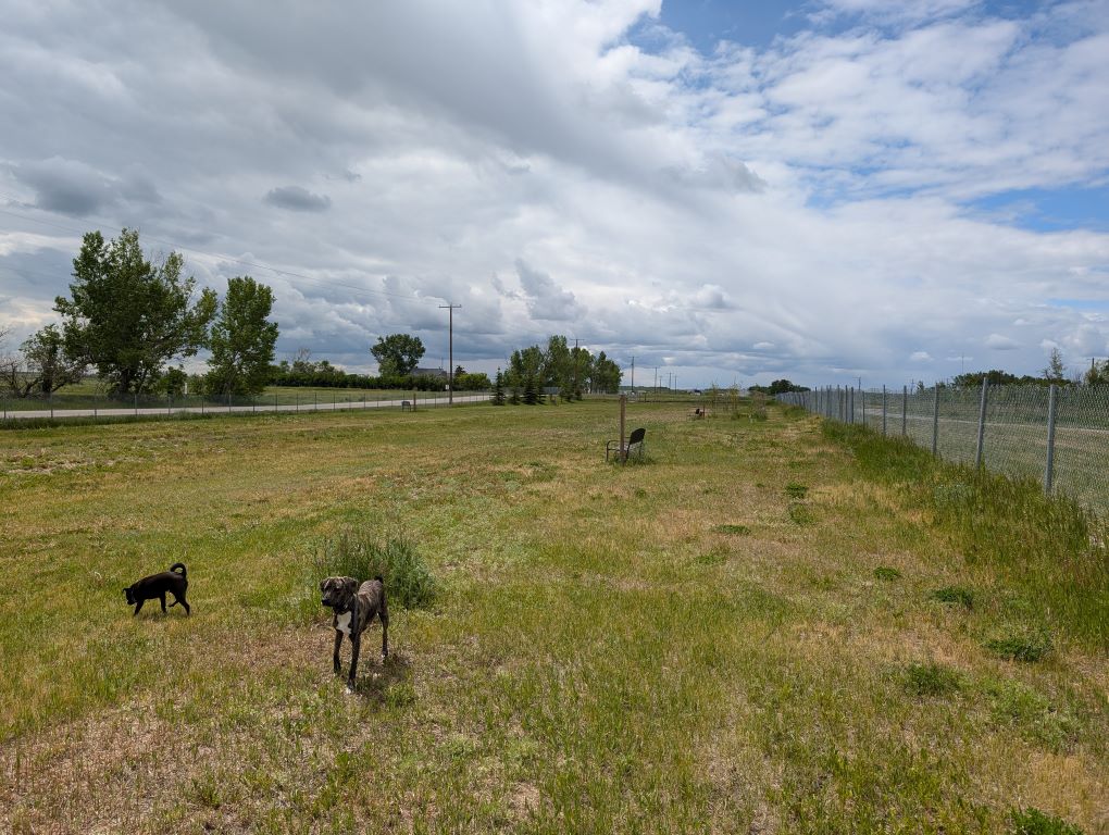 A Place for Your Furry Friends - Community-Driven Dog Park