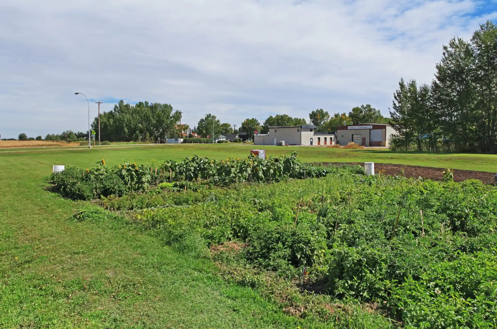  - Community Garden Image